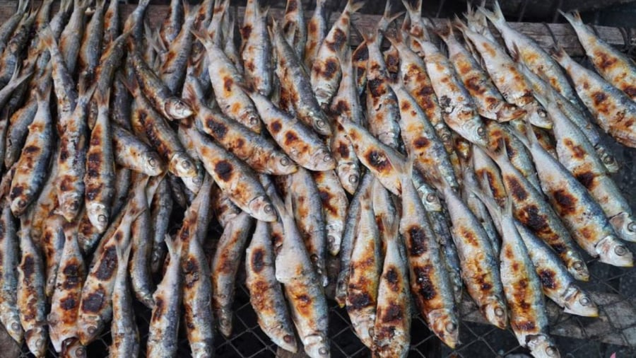 Nếu bạn đang tìm một loại cá giàu protein, axit béo omega-3 và vitamin D, cá trích là một trong những lựa chọn tuyệt vời. 