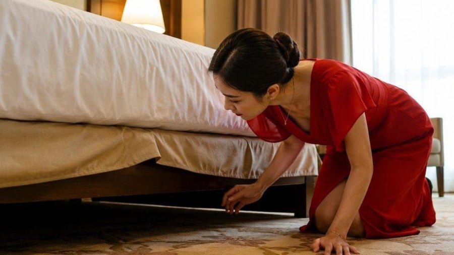 Tại Sao Bạn Nên Kiểm Tra Gậm Giường Ngay Khi Vào Phòng Khách Sạn?