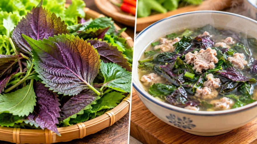 Tía tô nên ăn chín hay sống?