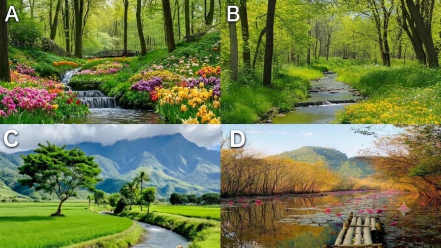 Hãy chọn 1 dòng suối bạn thích nhất?