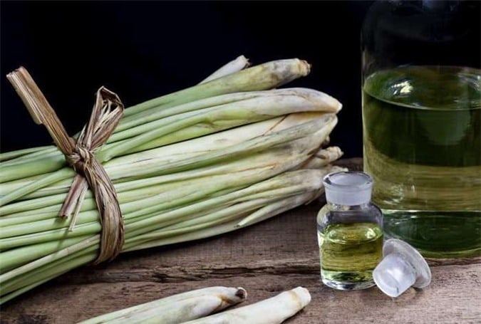 Vì sao nên đặt bó sả vào nhà vệ sinh