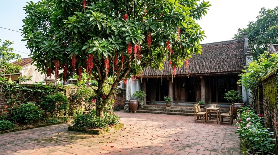Lộc vừng được nhiều gia đình yêu thích nhờ dáng cây đẹp và ý nghĩa tài lộc, thịnh vượng theo quan niệm dân gian.