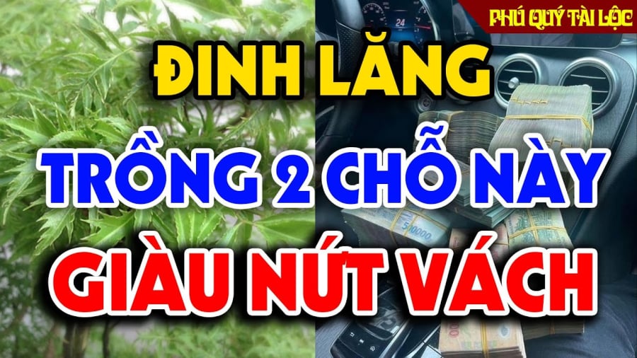 Dinh Lang