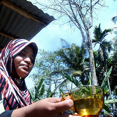 Hứng nước từ cây biết 