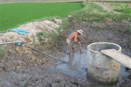 Nhiều người dân xã Đăk Mar trong lúc đào ao cũng tìm được những khúc gỗ quý (Ảnh minh họa: BĐVN) 