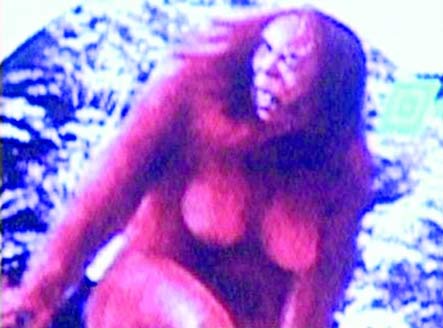 Trước đó, tin về một quái vật Bigfoot bí ẩn rộ lên  tại Shennongjia, tỉnh Hồ Bắc.