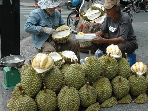 trái còn sống thì xử lý ngay tại vườn bằng một thùng nước có pha một loại hóa chất không mùi, màu trắng để sầu riêng nhanh chín.