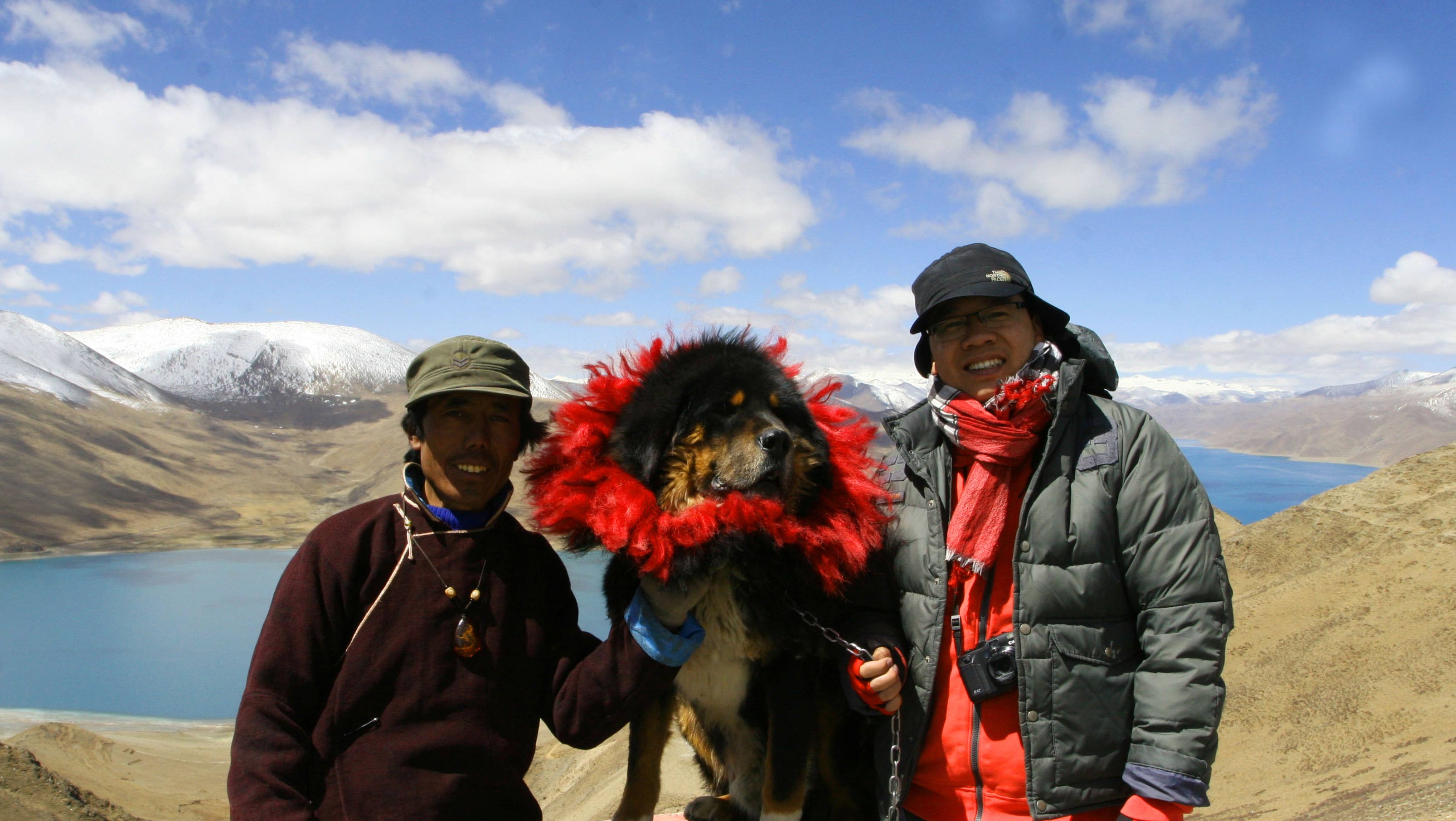 Nhà báo Đỗ Doãn Hoàng làm quen với người và Ngao Tây Tạng.