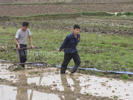 Sáng mùng 6 Tết, ông Phạm Văn Kháng, 47 tuổi (xã Lạc Hồng, Văn Lâm, Hưng Yên) cùng con trai ra bừa khoảnh ruộng nhỏ ngay giáp quốc lộ 5. Người dân ở Hưng Yên tận dụng sức người để cuốc, bừa ruộng. (nguồn: Tiền Phong)