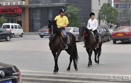Chủ một doanh nghiệp tư nhân tại Hàm Dương, Tây An, Trung Quốc đã mua một con ngựa tên “Wu Zhui” với số tiền 80.000 nhân dân tệ (tương đương 256 triệu đồng) để cưỡi đi làm. Chi phí chăm sóc chú tuấn mã này hàng năm cũng lên tới gần 60.000 nhân dân tệ (tương đương 192 triệu đồng).
