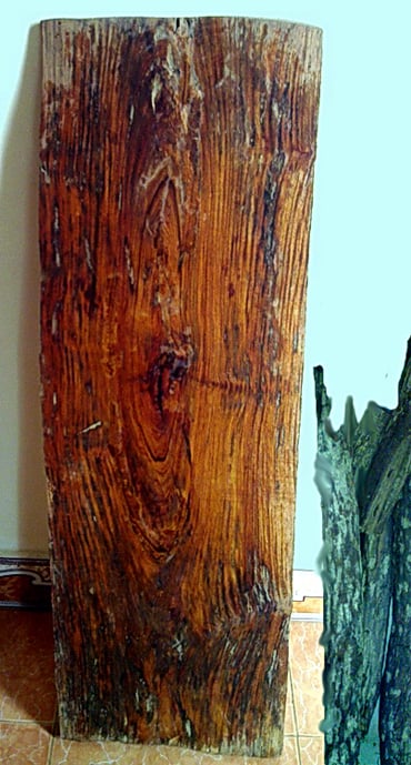 Một miếng gỗ sưa đã được đưa về nhà dân tại xã Phúc Trạch và đang được chào bán công khai với giá lên cả tỉ đồng 