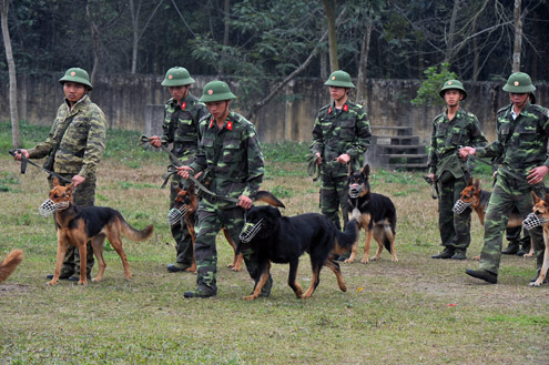 Trường trung cấp huấn luyện chó nghiệp vụ thuộc Bộ tư lệnh Bộ đội Biên phòng đóng quân tại xã Vật Lại, huyện Ba Vì (Hà Nội) với hơn 500 huấn luyện viên và 500 chó ngày đêm tập luyện sẵn sàng làm nhiệm vụ
