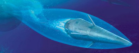  Trang bị vũ khí cơ bản của Amur-1650 vẫn là 6 ống phóng ngư lôi cỡ 533 mm với cơ số dự trữ 18 quả, có khả năng bắn cả loại ngư lôi siêu khoang VA-111 Shkval (loại ngư lôi khi di chuyển hình thành các bọt khí xung quanh, tạo ra một lớp không khí mỏng bao quanh thân ngư lôi triệt tiêu sức cản của nước, giúp nó có thể chuyển động với tốc độ siêu âm). Ngư lôi có thể bắn trong 15 giây và bắn loạt tiếp theo sau hai phút.