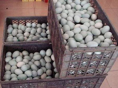 Hơn 100.000 quả trứng muối chứa chất độc hại bị thu giữ