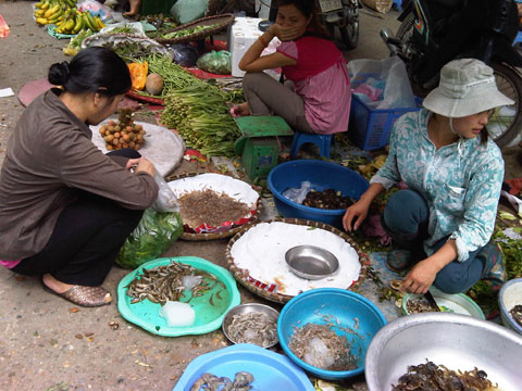 Tại chợ cóc sân B6 khu tập thể Thành Công (quận Ba Đình, Hà Nội), tép riu có giá 100.000 đồng/cân, tôm đồng giá 200.000 đồng/cân, đắt ngang ngửa tôm biển.