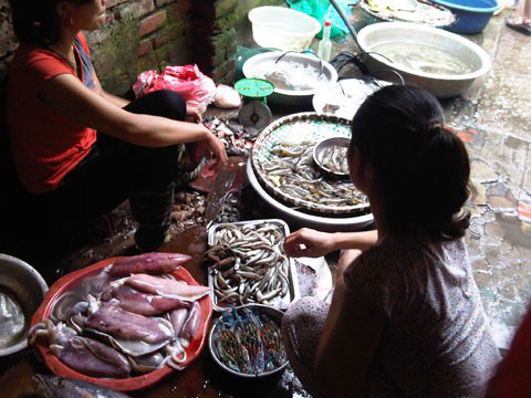Chê cá trắm, cá trôi nuôi công nghiệp, thịt nhão, cô Nguyễn Thị Lan (ở khu tập thể Thành Công) chọn loại cá trỏng cơm: 