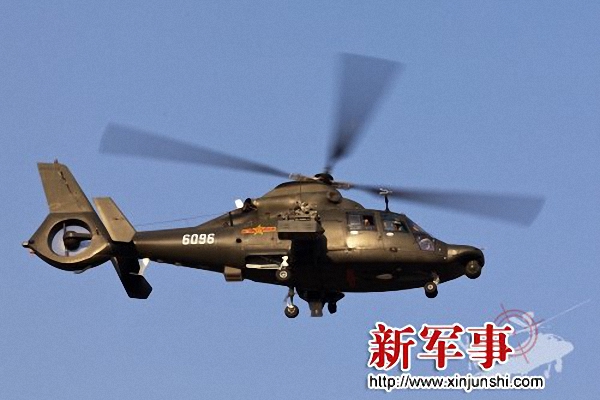 WZ-19 có thể mang được 8 tên lửa chống tăng loại HJ8A và đạn tên lửa không đối không TY-90, pháo 23mm