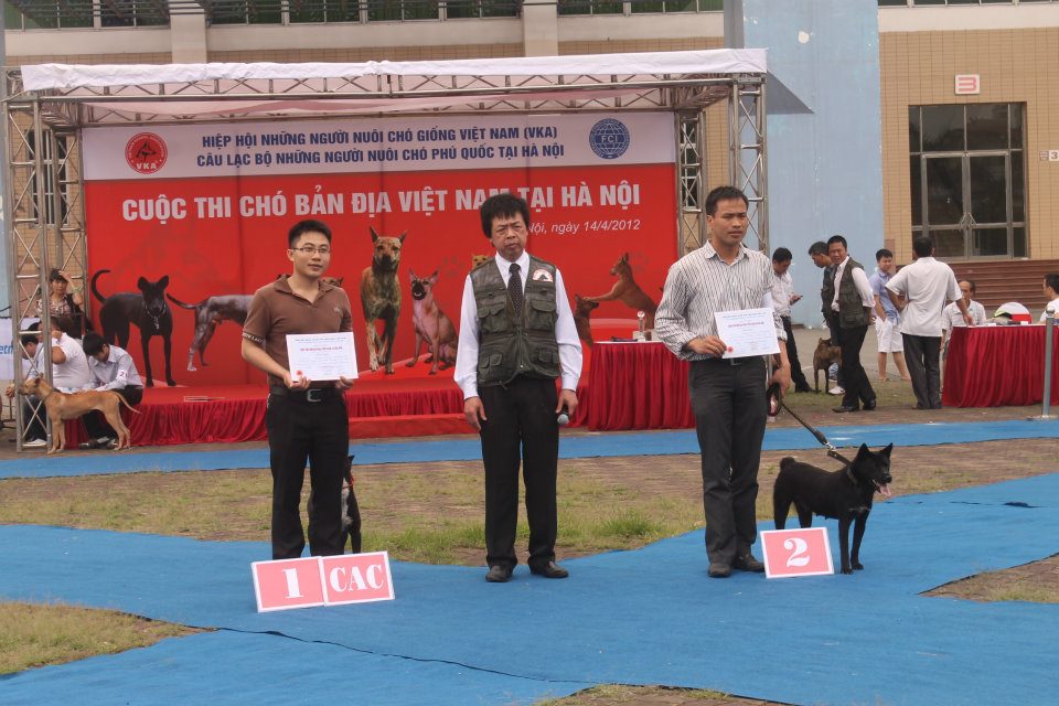Anh Tâm, và Ru Bi lên nhận giải nhất giống cái – chó Hmông cộc đuôi, cộng với chứng chỉ CAC xếp hạng tuyệt vời. 