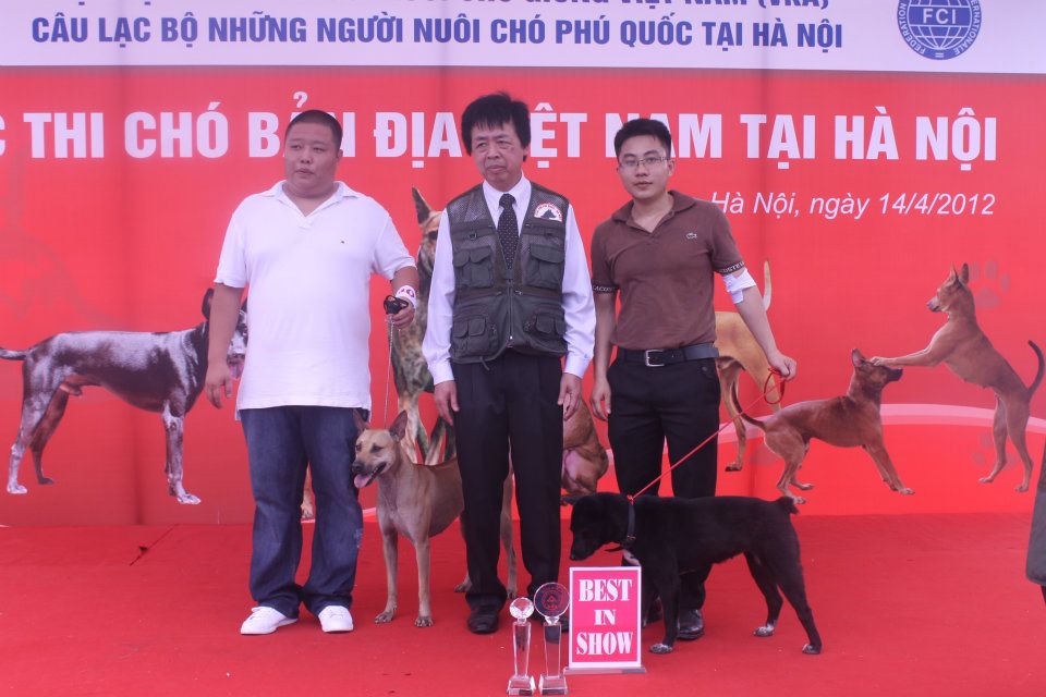 Chung cuộc của cuộc thi Dog Show Ru Bi đứng vị trí thứ 2 của giống chó H’ cộc đuôi.