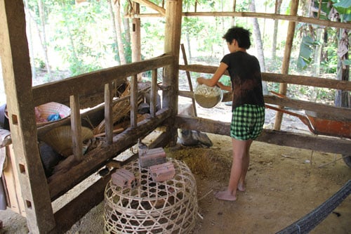 Chuồng trâu bỏ hoang, một trong những nơi mà Nhàn dùng để đổ số đất đã đào