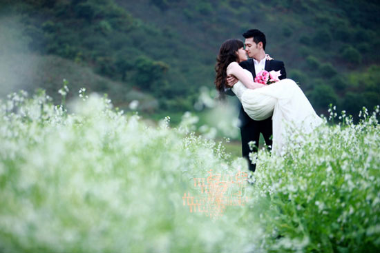  Đan Lê dành cho chồng nụ hôn ngọt  ngào trên những cánh đồng hoa cải trắng mênh mang