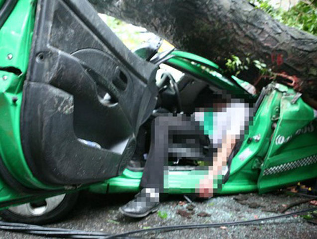 Tai nạn bất ngờ khiến tài xế Nguyễn Tuấn Anh tử vong ngay trong xe. 