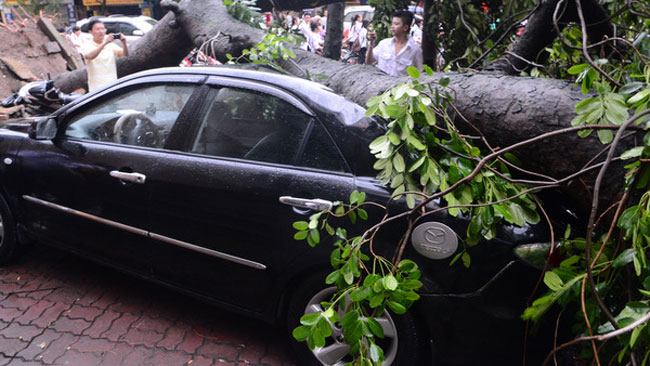 Một chiếc ô tô bị cây đè ở phố Bà Triệu