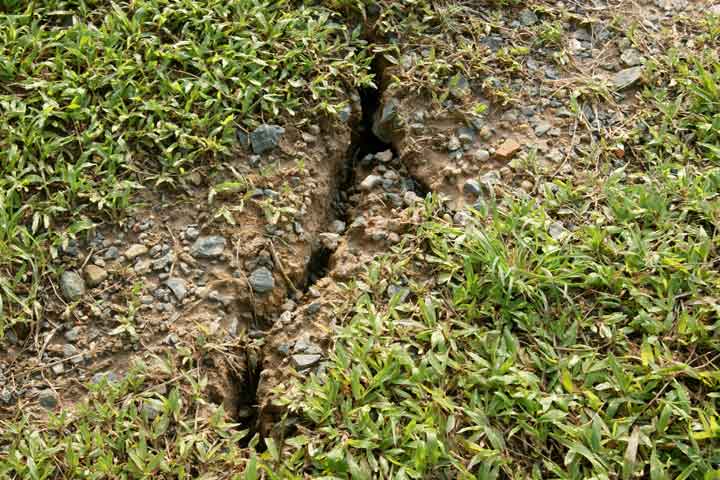 Bãi cỏ quanh hố sụt lún vẫn tiếp tục có hiện tượng lún nứt thêm, với những rãnh nứt to và kéo dài.