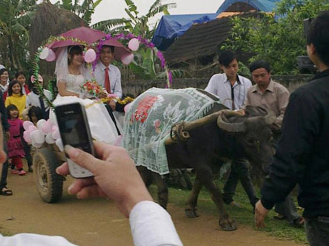 Hay giản dị hơn cả là đám cưới của Chú rể Đào Văn Đức (21 tuổi) tự tay dắt xe trâu qua nhà cô dâu   Hồ Thị Hoa (23 tuổi ) để rước dâu khiến dư luận không khỏi tò mò.