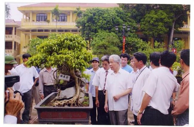 Ở xã Hồng Vân (Thường Tín, Hà Nội) - vùng đất nổi tiếng về buôn cây cảnh, người ta nói có khoảng 40 chiếc ô tô, trong đó những dòng xe hạng sang như BMW X6, Lexus 350, Camry 2.4 nhập Mỹ... đỗ dọc đường làng, bên mép ruộng. Chuyện mua bán, trao đổi những cây cảnh hàng trăm triệu, hàng tỷ, thậm chí cả chục tỷ bạc là “chuyện thường ngày ở xã”. (Trong ảnh: Nghệ nhân Cường họa sĩ giới thiệu cây với lãnh đạo Đảng, Nhà nước)