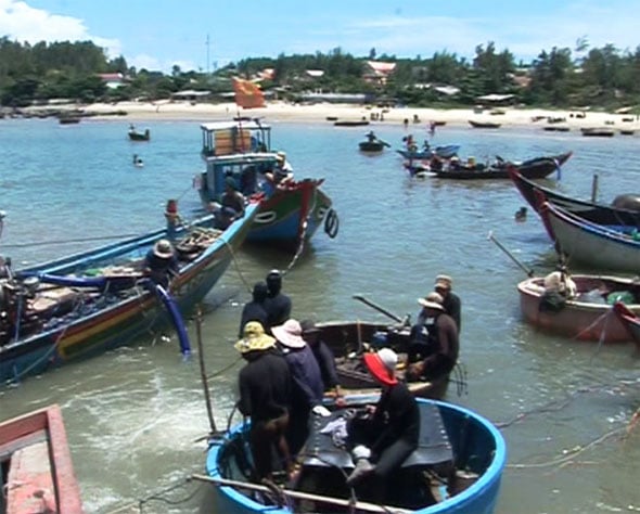  Trong tích tắc, vùng biển ở làng chài Châu Thuận trở thành một công trường. Máy móc, ghe tàu, đồ nghề lặn và chi chít người bủa vây quanh xác tàu đắm để “luộc” cổ vật. Lần lượt rất nhiều cổ vật toàn bằng gốm sứ như chén, bát, đĩa,… được người dân “tậu” được dưới biển. 