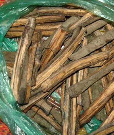 Một loại thuốc đã được phơi khô trong bài thuốc chữa bệnh buồng trứng.