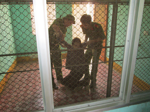 Tử tù Long ngã quỵ xuống