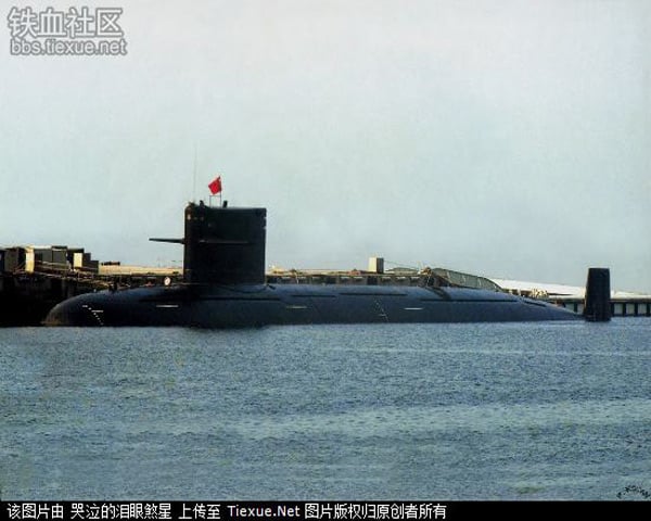 Biên chế bảo vệ Liêu Ninh bao gồm khoảng 12 tàu khu trục hạm các loại, và 2 tàu ngầm loại 091 và 093 cùng 1 đến 2 máy bay cảnh báo sớm do Trung Quốc tự sản xuất