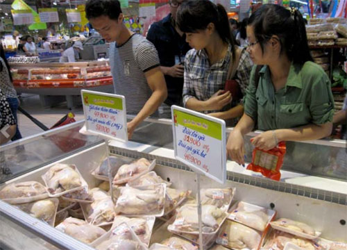 Nhiều người lo lắng về loại gà được nhập khẩu từ Hàn Quốc và Mỹ với giá rẻ