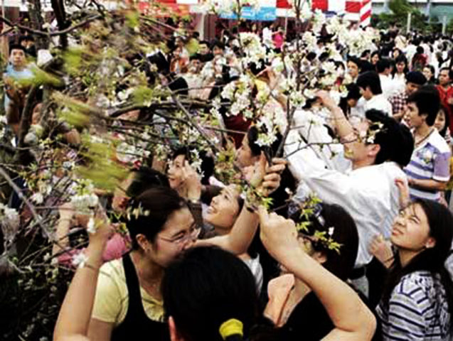 Còn nhớ tại lễ hội hoa anh đào Nhật Bản diễn ra tại Hà Nội năm 2008, trong khi nhiều người Nhật xếp hàng để vào cổng thì nhiều bạn trẻ Việt Nam công kênh nhau bật tường rào để vào. Rồi cả nam lẫn nữ ào ạt, xô đẩy nhau tranh nhau bứt hoa bẻ cành những cây hoa anh đào mà nước bạn đưa sang.