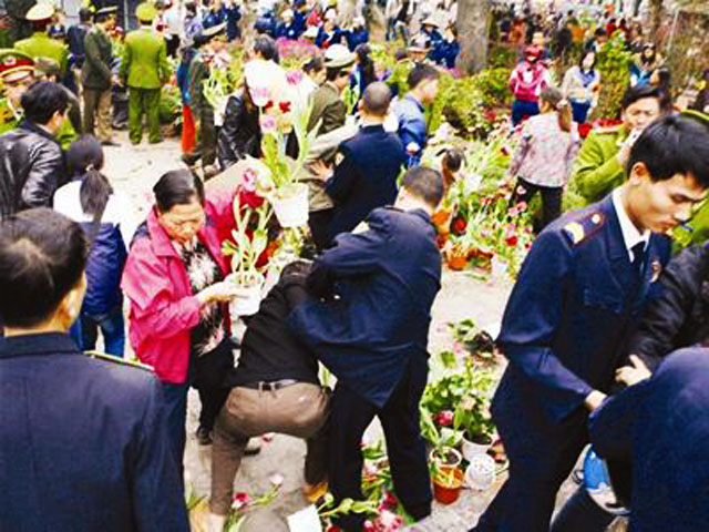 Trước khu tượng đài Lý Thái Tổ, đông đảo người dân xông vào cướp các chậu hoa khi Ban tổ chức Lễ hội phố Hoa Hà Nội đang thu dọn sau lễ bế mạc. Hàng trăm chậu hoa, cây cảnh bị giẫm đạp đổ nát trước sự bất lực của lực lượng an ninh.
