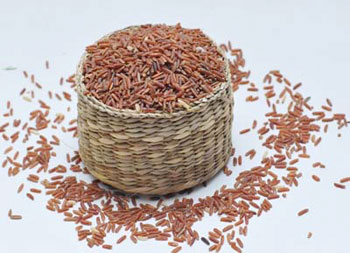 Lớp cùi của gạo lứt có 20 chất kháng ôxy hóa