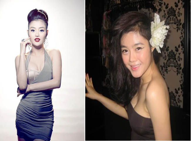 Julia Hồ bị cho rằng đã phẫu thuật thẩm mỹ trước khi tham gia cuộc thi Hoa hậu Người Việt Hoàn cầu. 
