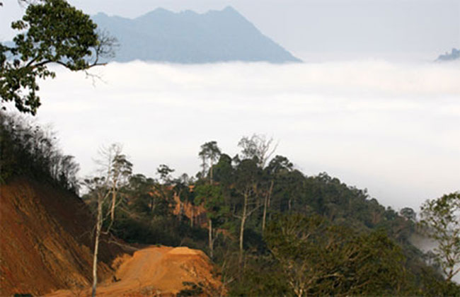 Đường tuần tra biên giới trong “biển mây” trên đỉnh Trường Sơn. 