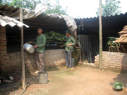 Thắng và trại viên trong đội đang trong giờ chăn nuôi lợn   