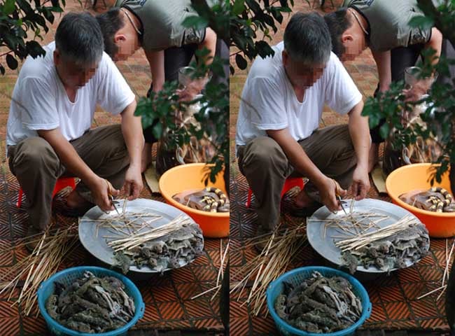 Riêng thằn lằn thịt, còn sống được rao bán với giá tới 400.000 - 500.000 đồng/kg nhưng cũng rất ít có hàng, phải đặt trước mới có. 