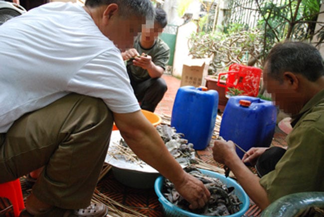 Tuy nhiên, khoa học hiện đại mới chỉ phát hiện trong thịt thằn lằn chứa nhiều protit chứ chưa phát hiện được chất nào có công dụng hữu hiệu trong việc tráng dương, bổ thận, 