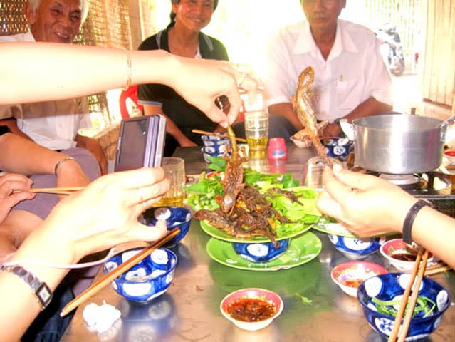 Theo bác sĩ Phí Thái Hà (Bệnh viện Y học cổ truyền TƯ) trong Đông y, thằn lằn chủ yếu được dùng để chế thành vị thuốc chữa bệnh liên quan đến việc làm tiêu u bướu, khơi thông tà khí… 