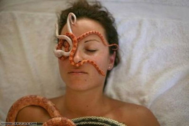 Phương pháp massage bằng rắn cũng đang được nhiều người ưa chuộng và được nhiều người thích. 