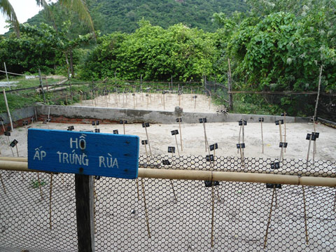 Hồ ấp trứng rùa tại Vườn Quốc gia Côn Đảo