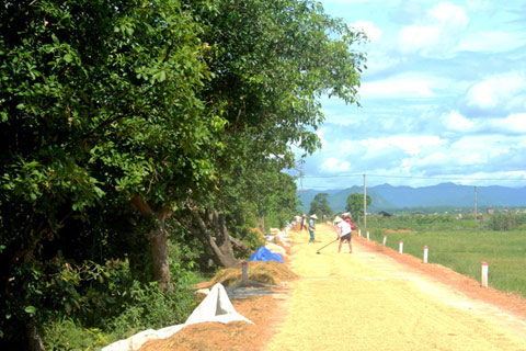 Người dân Phú Thọ canh giữ cánh rừng như báu vật vô giá của làng.