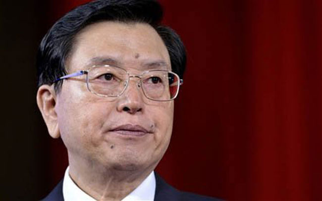 Về đời tư, Trương Đức Giang là một “hoàng tử đỏ”,  ông là con trai của Trương Chí Nhất, một cựu tướng trong Quân Giải phóng nhân dân Trung Quốc, là Phó tư lệnh pháo binh tại Quân khu Quảng Châu. Vợ của ông Trương Đức Giang, bà Tần Thủ Sơn, từng giữ vị trí cấp cao tại Ngân hàng Xây dựng Trung Quốc và là thành viên của Hội nghị Tham vấn chính trị Nhân dân Trung Quốc.