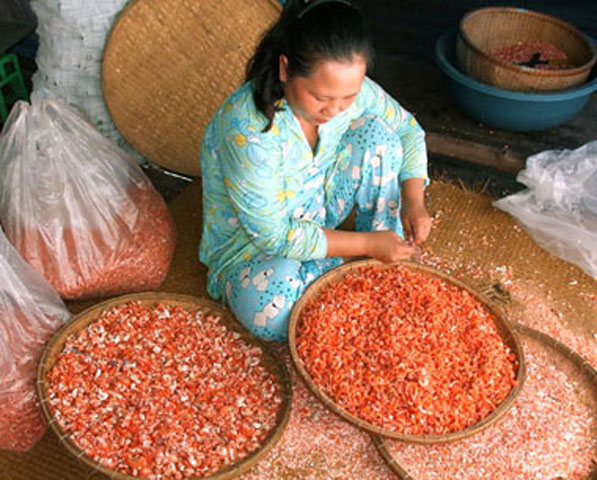 Nguyên liệu để làm tôm khô cũng khá đa dạng như tôm sắt, chì, bạc, đất, giang… Tùy theo loại và cỡ tôm lớn nhỏ mà có giá bán khác nhau. Số lượng tôm thành phẩm ít hay nhiều đều phụ thuộc vào nguồn, vào lượng tôm đánh bắt được. 