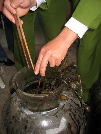 Theo GS.TS. Trương Việt Bình, Giám đốc Học viện Y dược học cổ truyền Việt Nam, trong một số bài thuốc đông y, chỉ có nhựa chích từ quả cây anh túc được chiết xuất thành thuốc phiện sẽ được dùng với số lượng rất nhỏ nhằm để phối hợp điều trị một số chứng bệnh. Nhựa cô đặc từ quả anh túc hay còn gọi là thuốc phiện vốn vẫn được dùng như một biệt dược để khống chế những cơn đau, tăng hưng phấn, kích thích chức năng tiêu hóa. Nếu dùng quá liều lượng sẽ gây nghiện, có hại cho hệ thần kinh. 